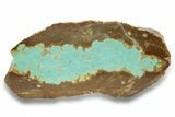 Polished Turquoise Slab - Number Mine, Carlin, NV #248332-1